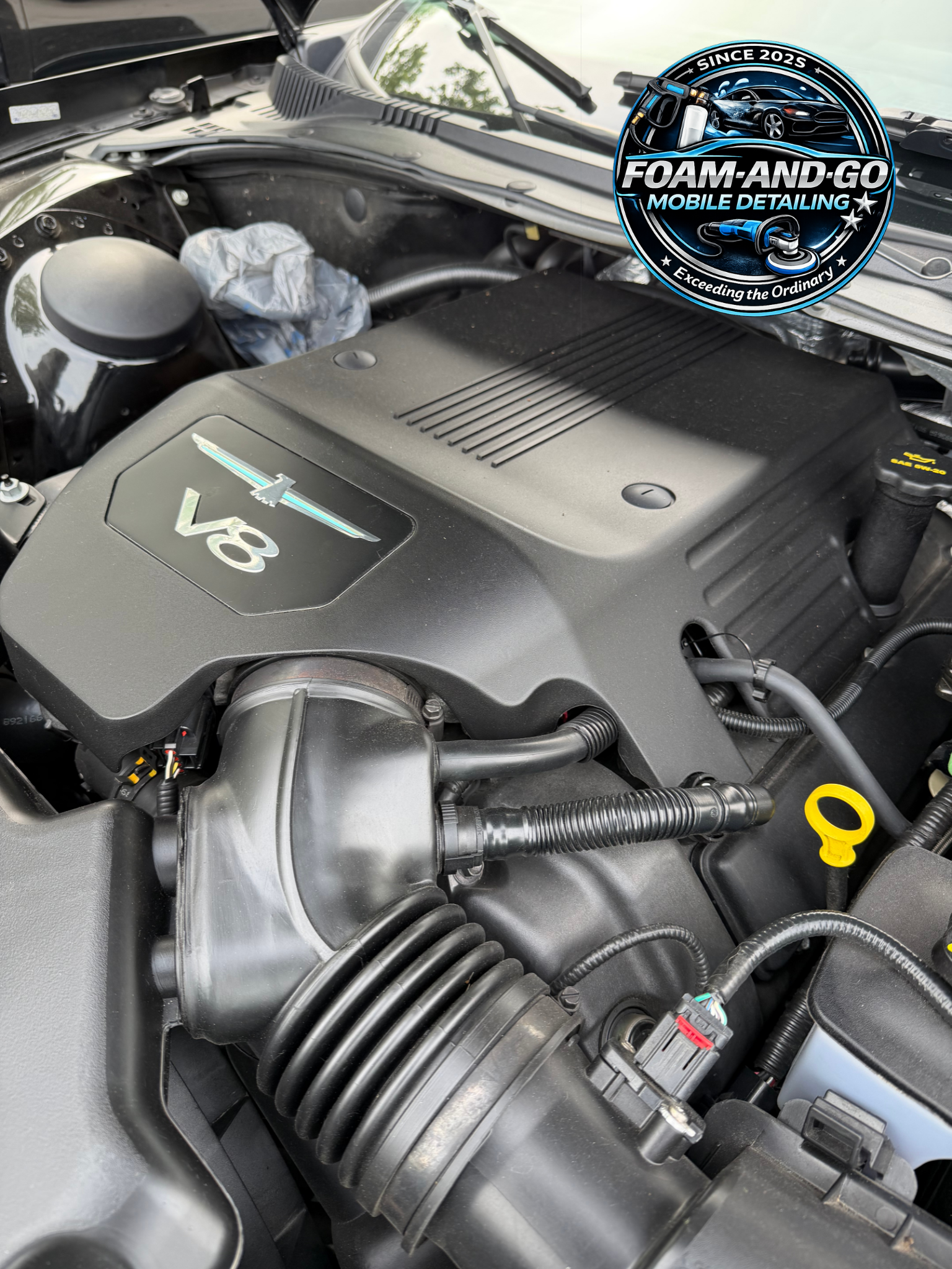 Cleaned engine compartment
